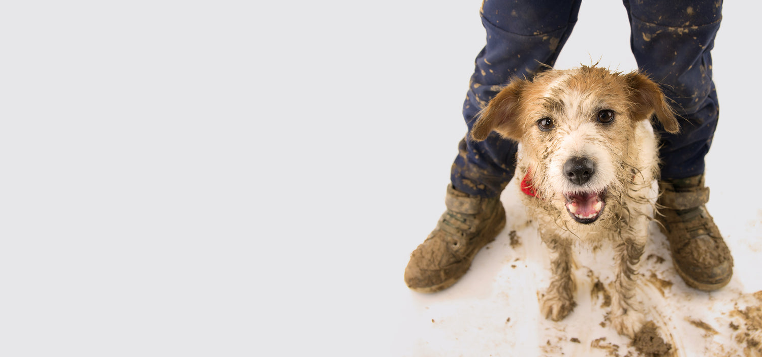 Dog covered in mud, sitting by feet of mud-splattered child.